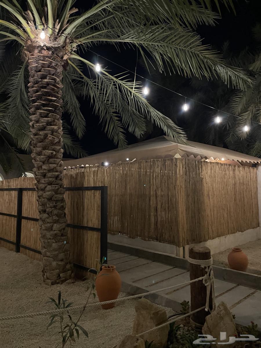 رولات خيزران الاعواد الزراعية والمزيد من الديكورات64547652546819110