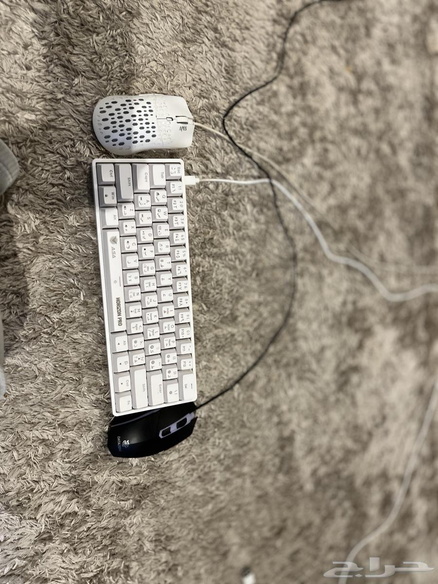 كيف ماوس ومع هدية ماوس64548645914370110