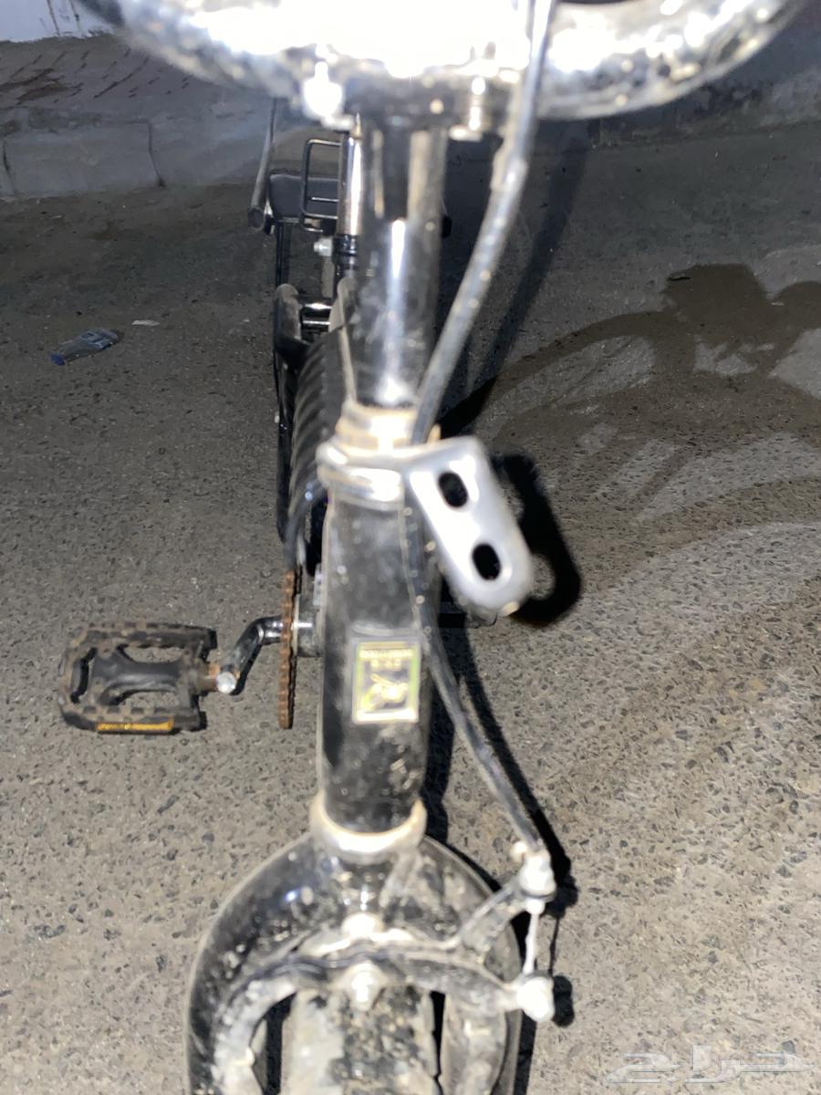 رامبو اسود للبيع64547068851841114