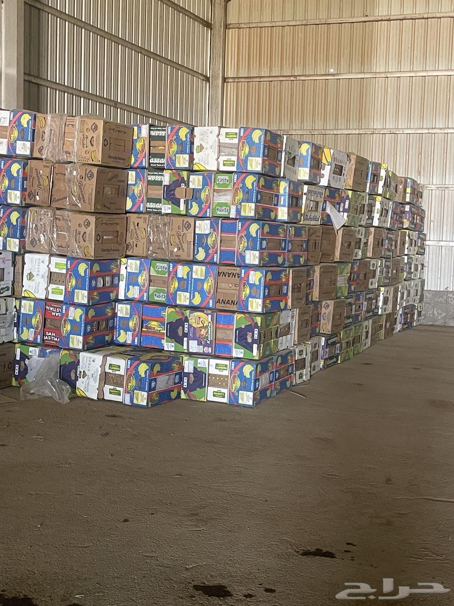 كراتين موز جديدة64545701500929110