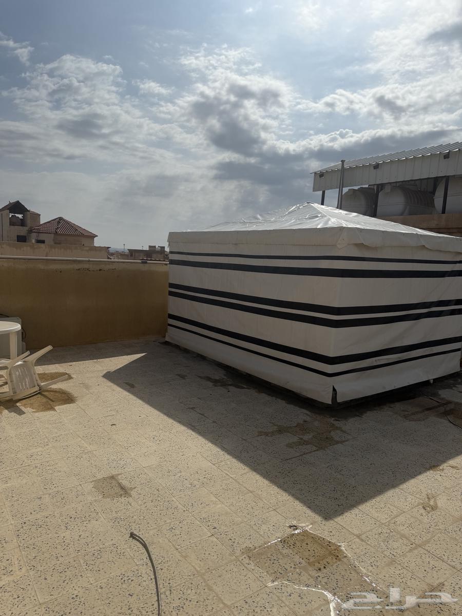 للبيع خيمه 4في364545174629378114