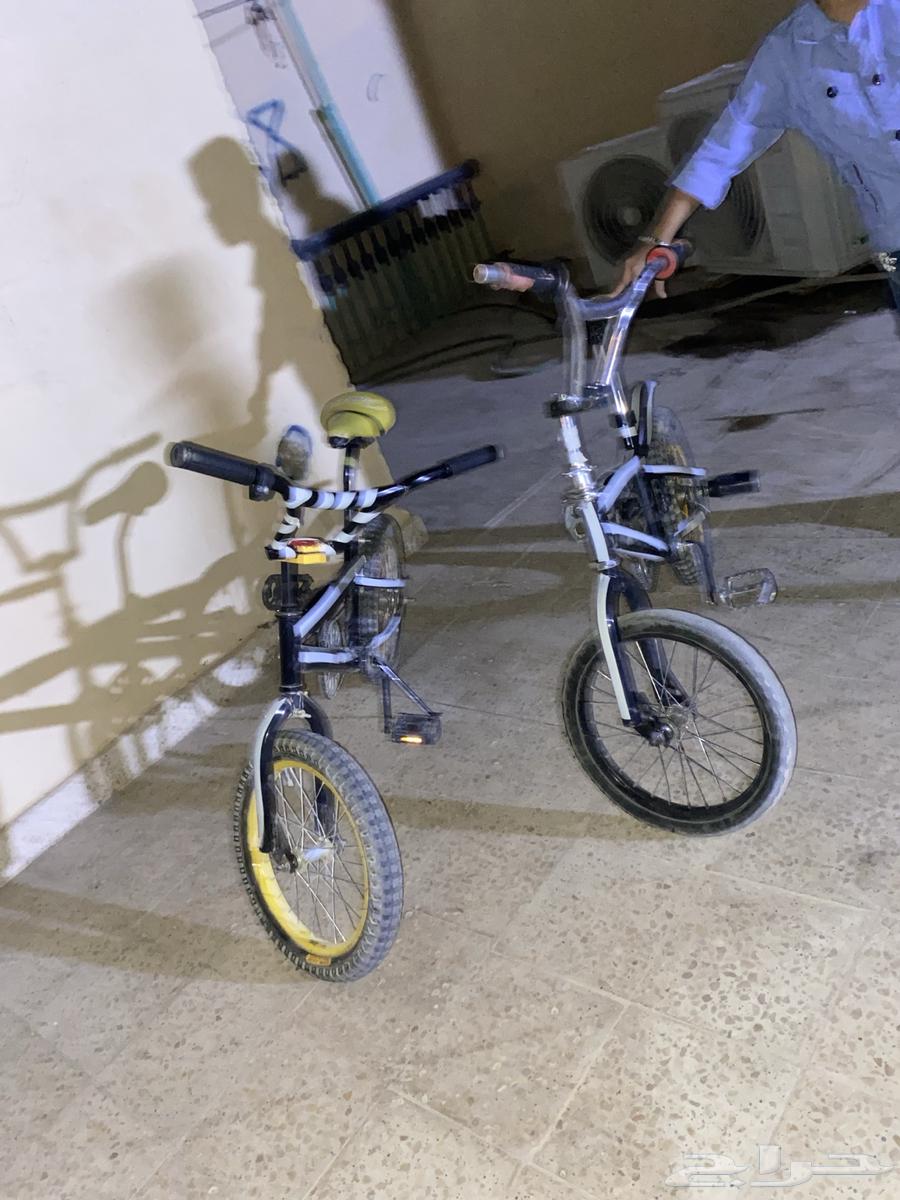 Cycle 16 Two64551862462977110