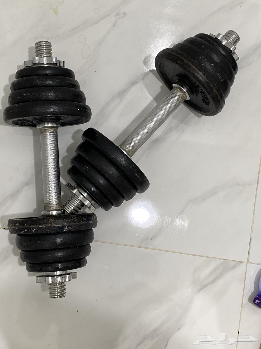 Exercise Weights and Pull-Up Bar64546268827523110