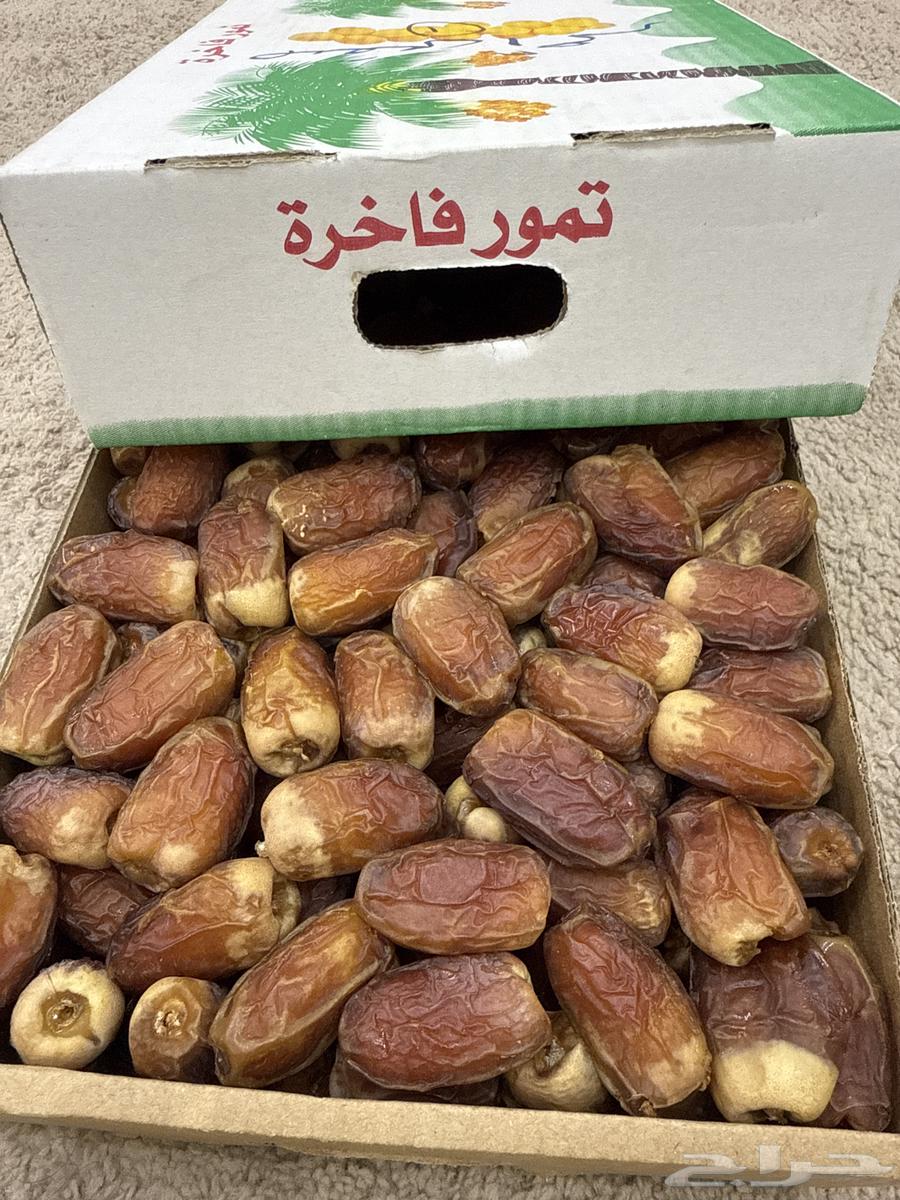 Premium Sukkari Dates64549261526147110