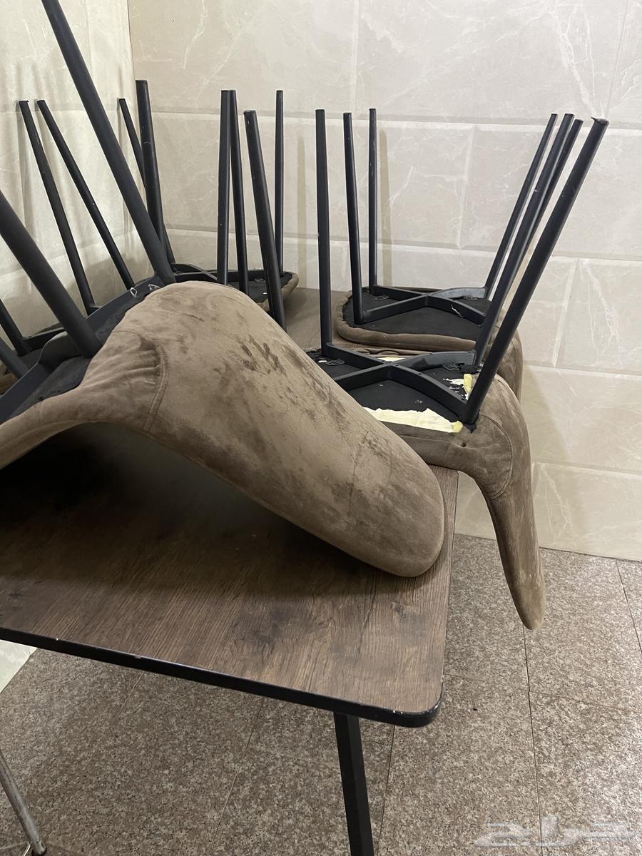 Sariran Nafir64550831876611111