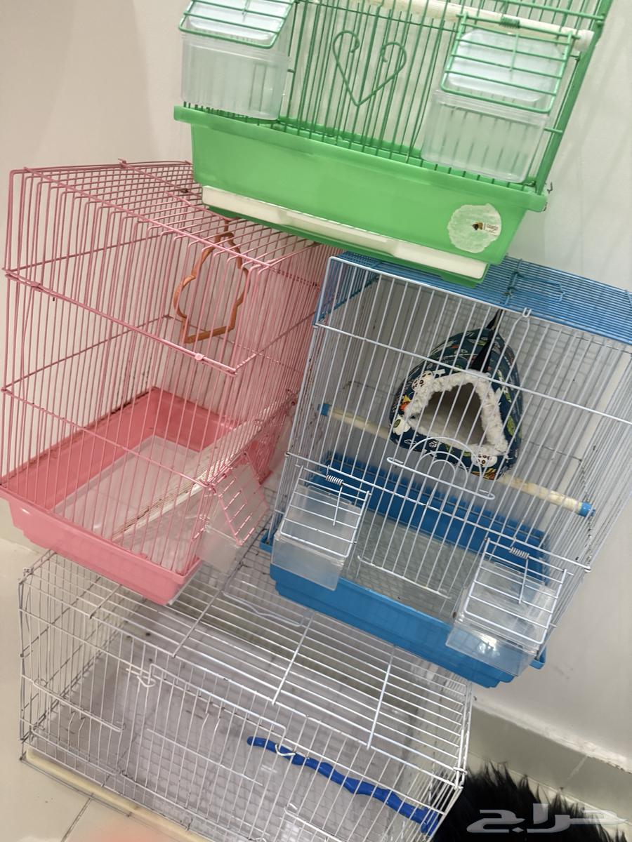 أقفاص عصافير للبيع64546651062531110