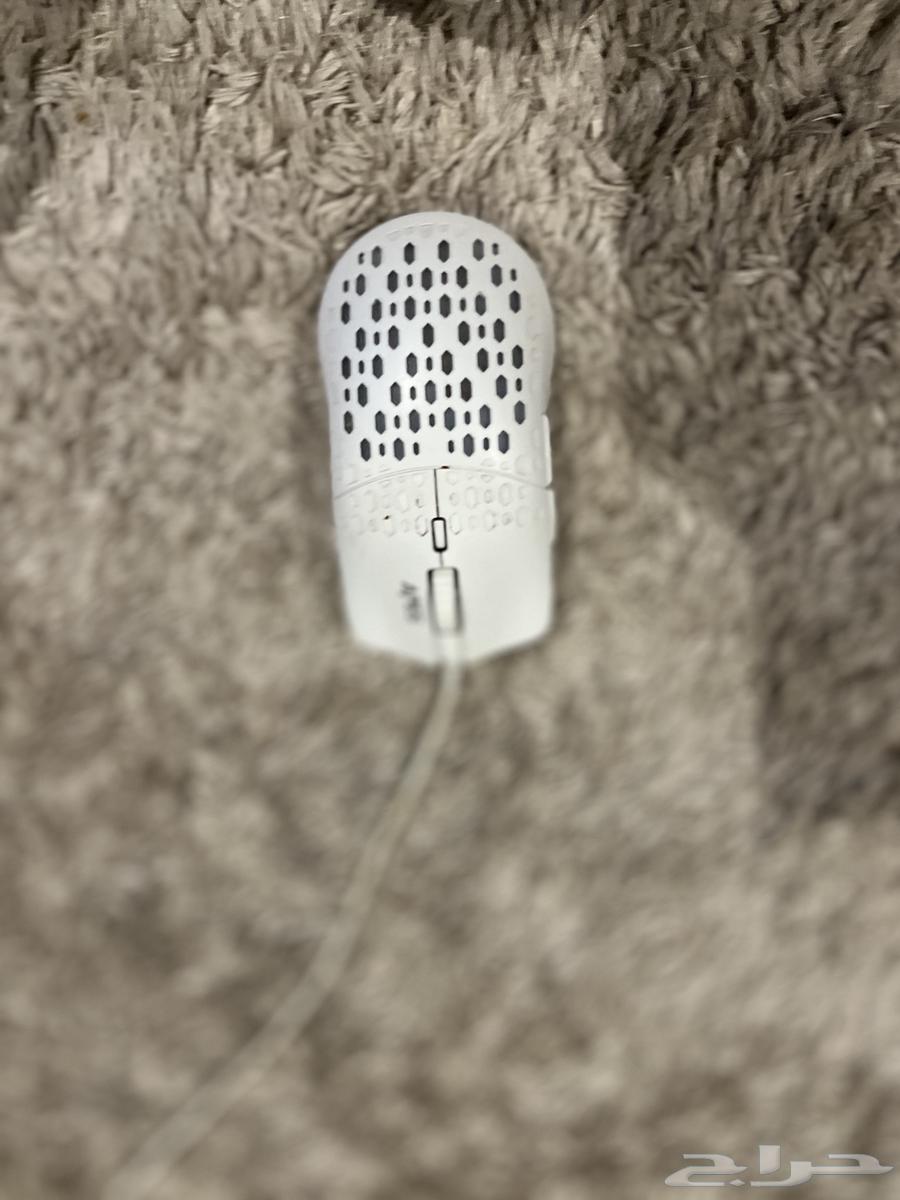 كيف ماوس ومع هدية ماوس64548645914370111