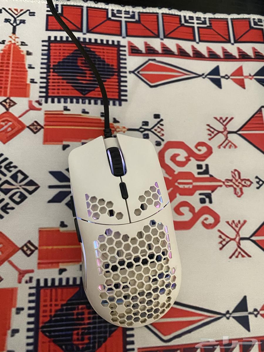 Gloris Mouse64546553895682110