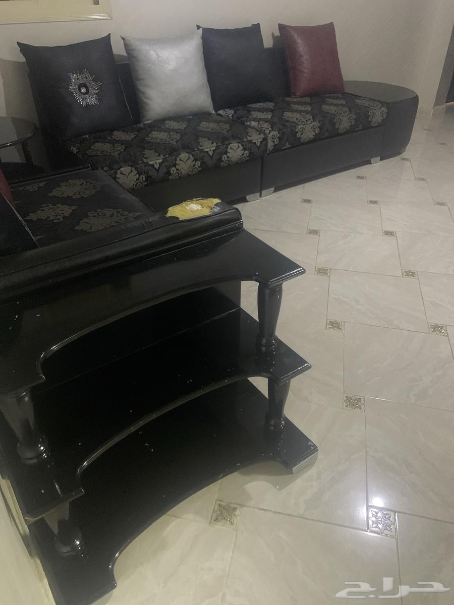 Sofa64543959268482113