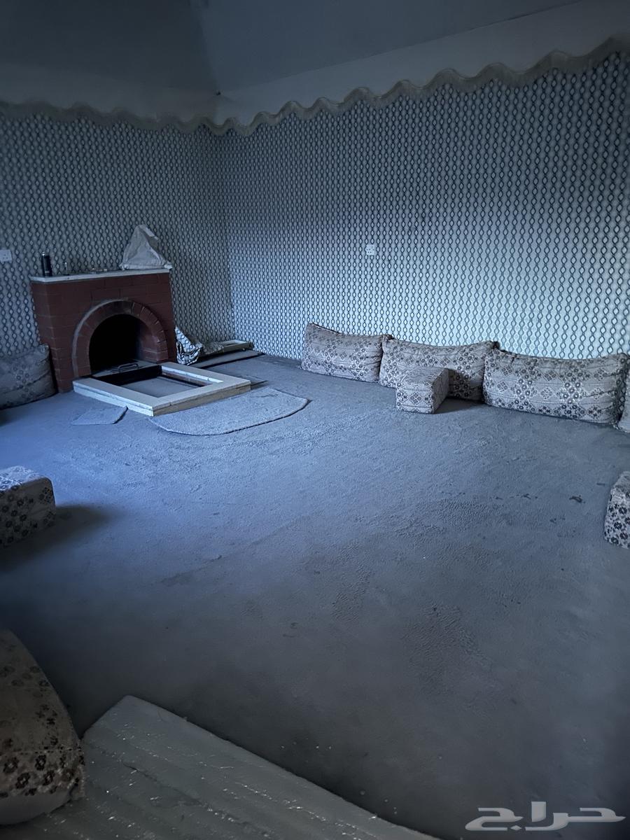 Tent64550203143810113