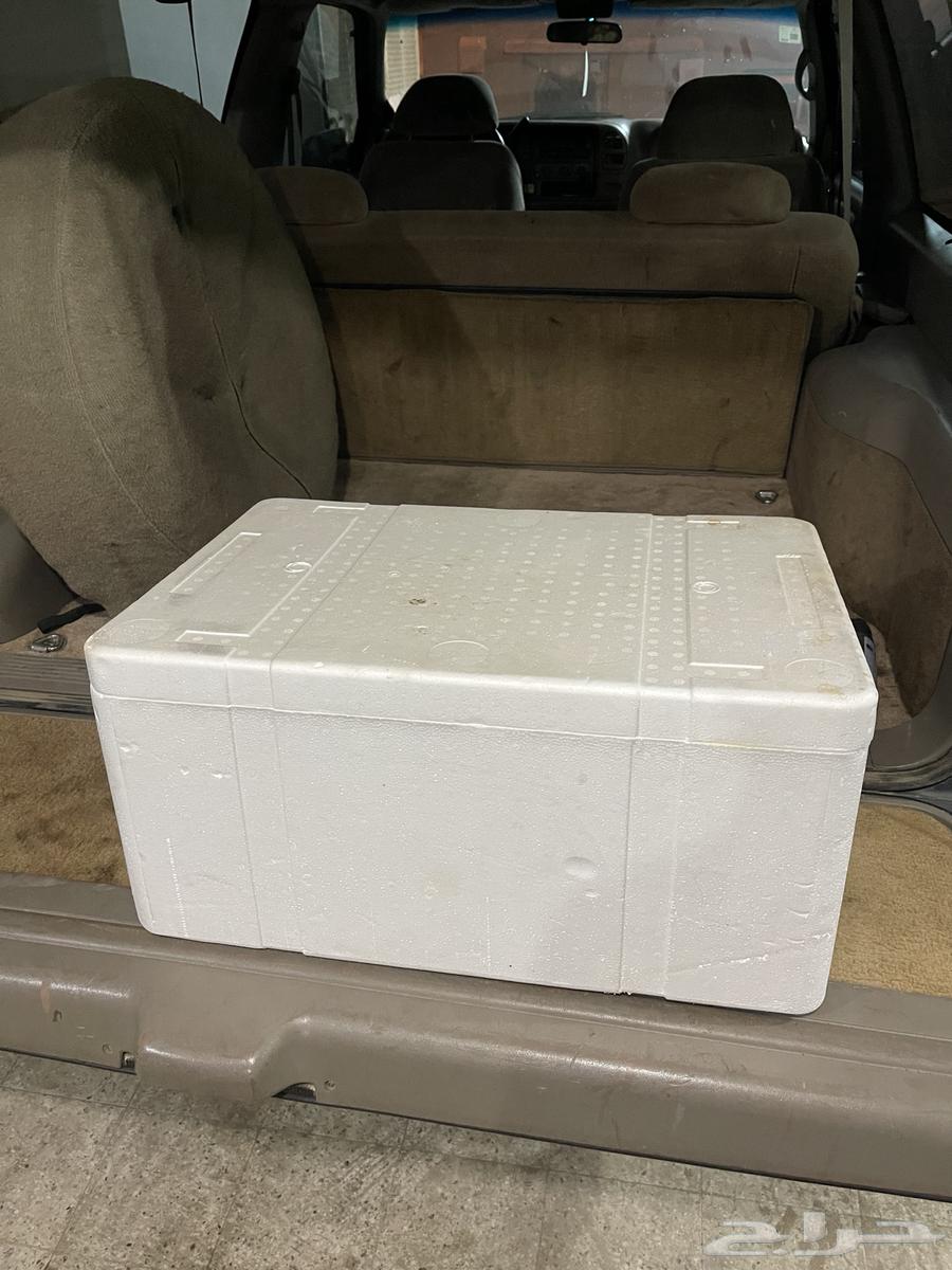 Flynn case64553115345025111