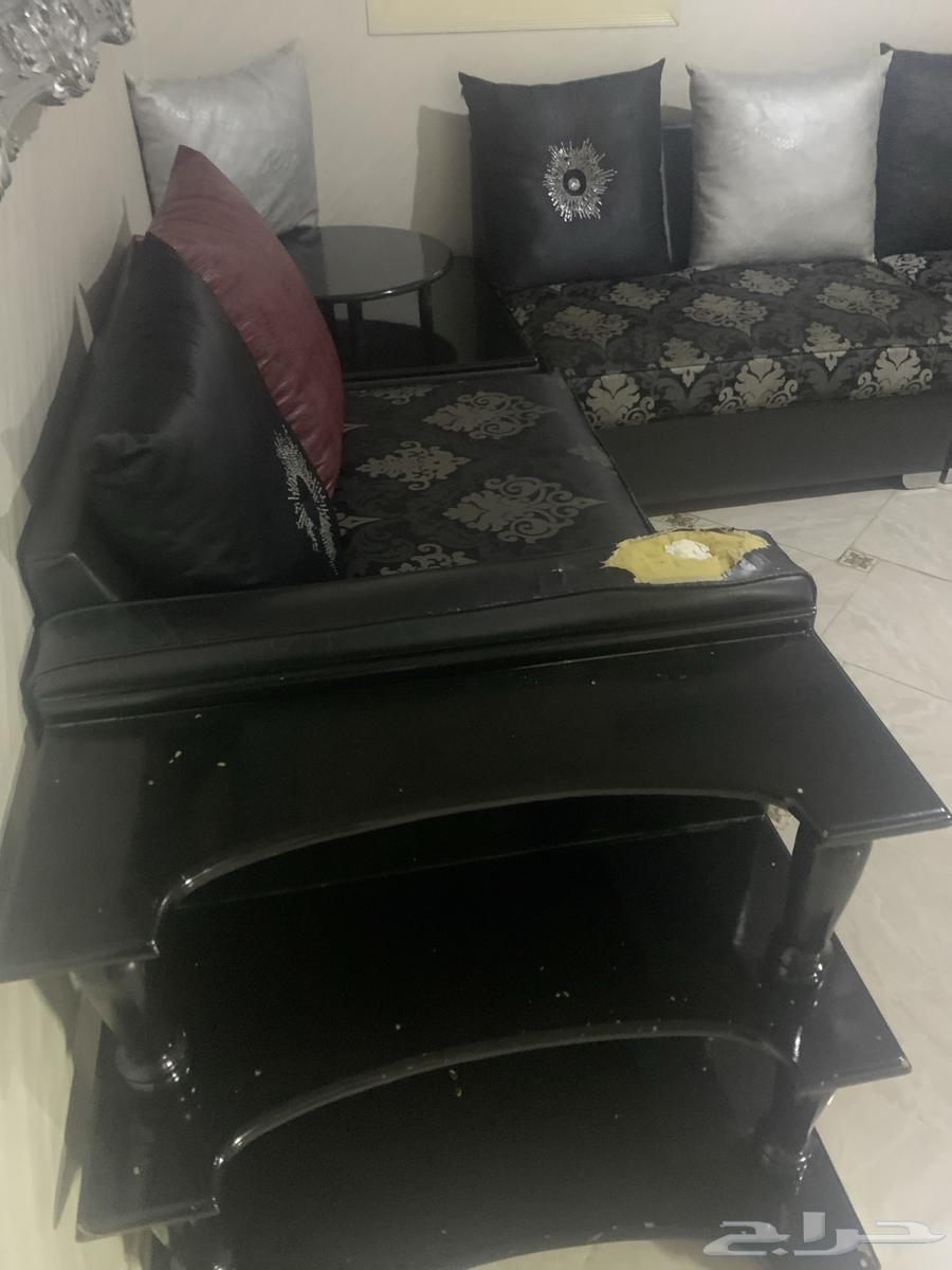 Sofa64543959268482112