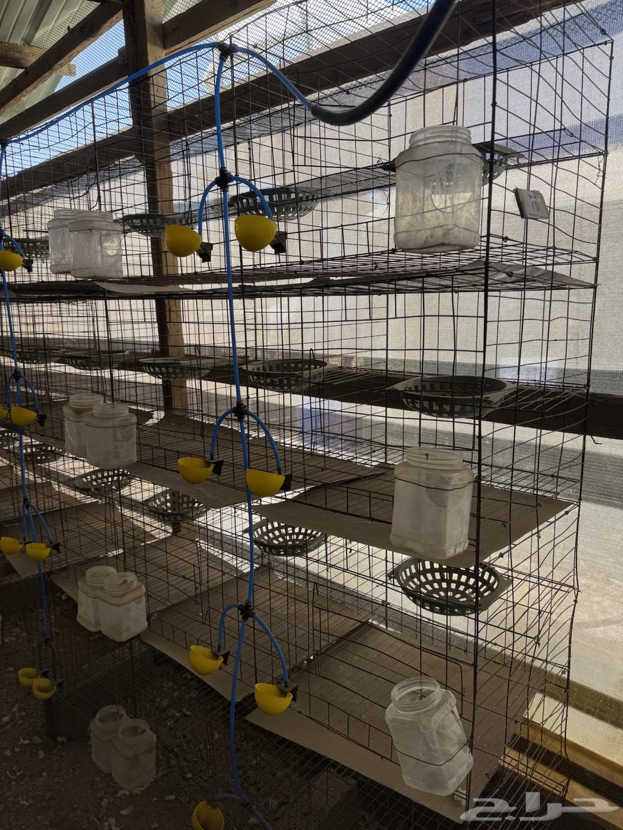 Iron Bathroom Mock-up Wires64547235650819110