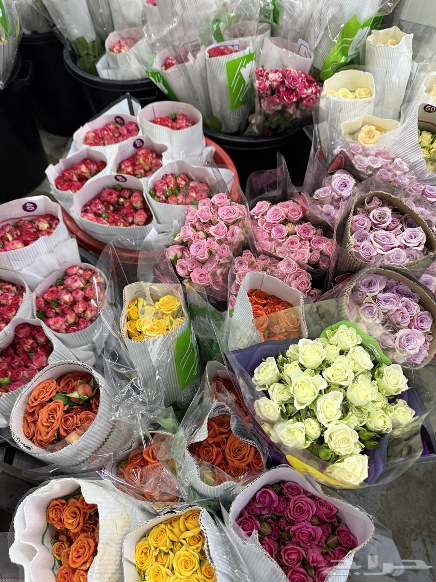 ورد يوم المعلم64544663870081110