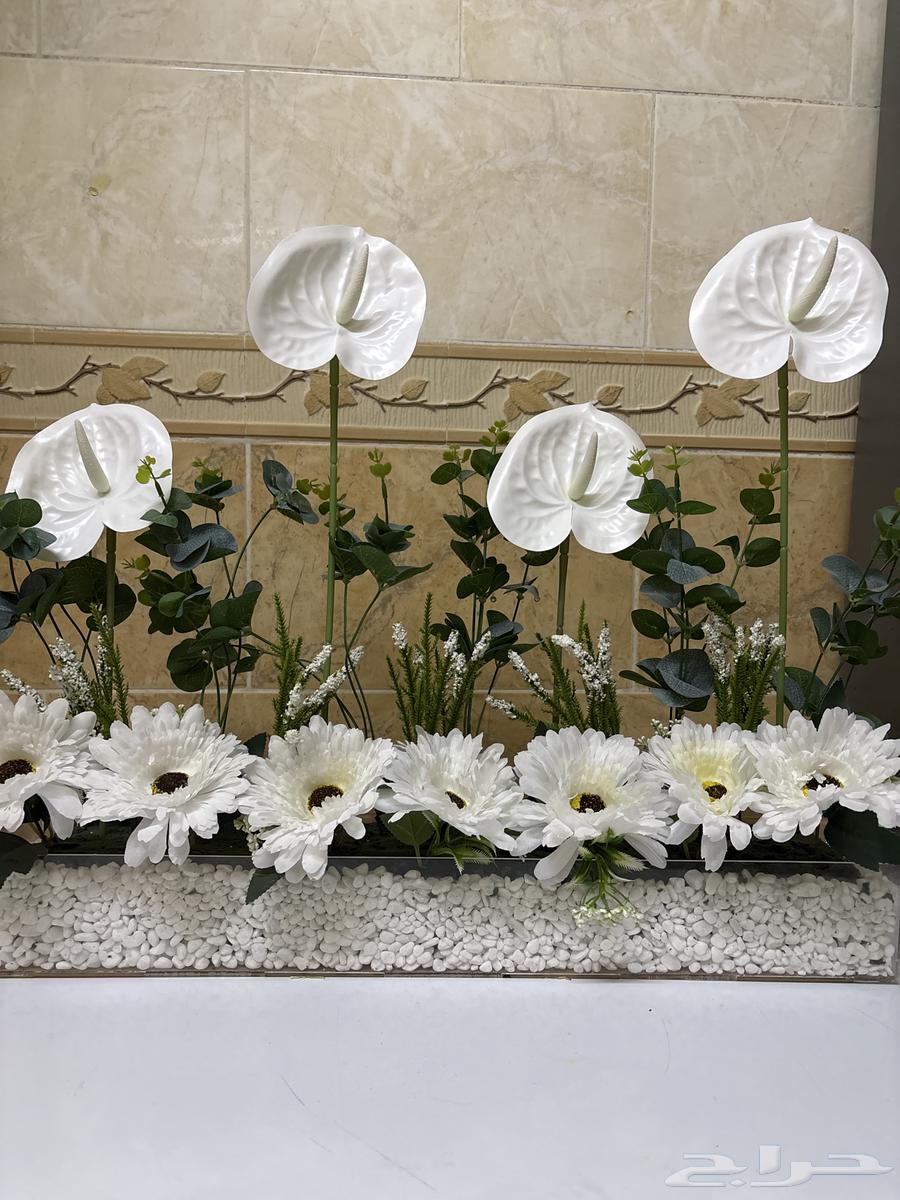 استاند ورد اكريلك64551061823362110