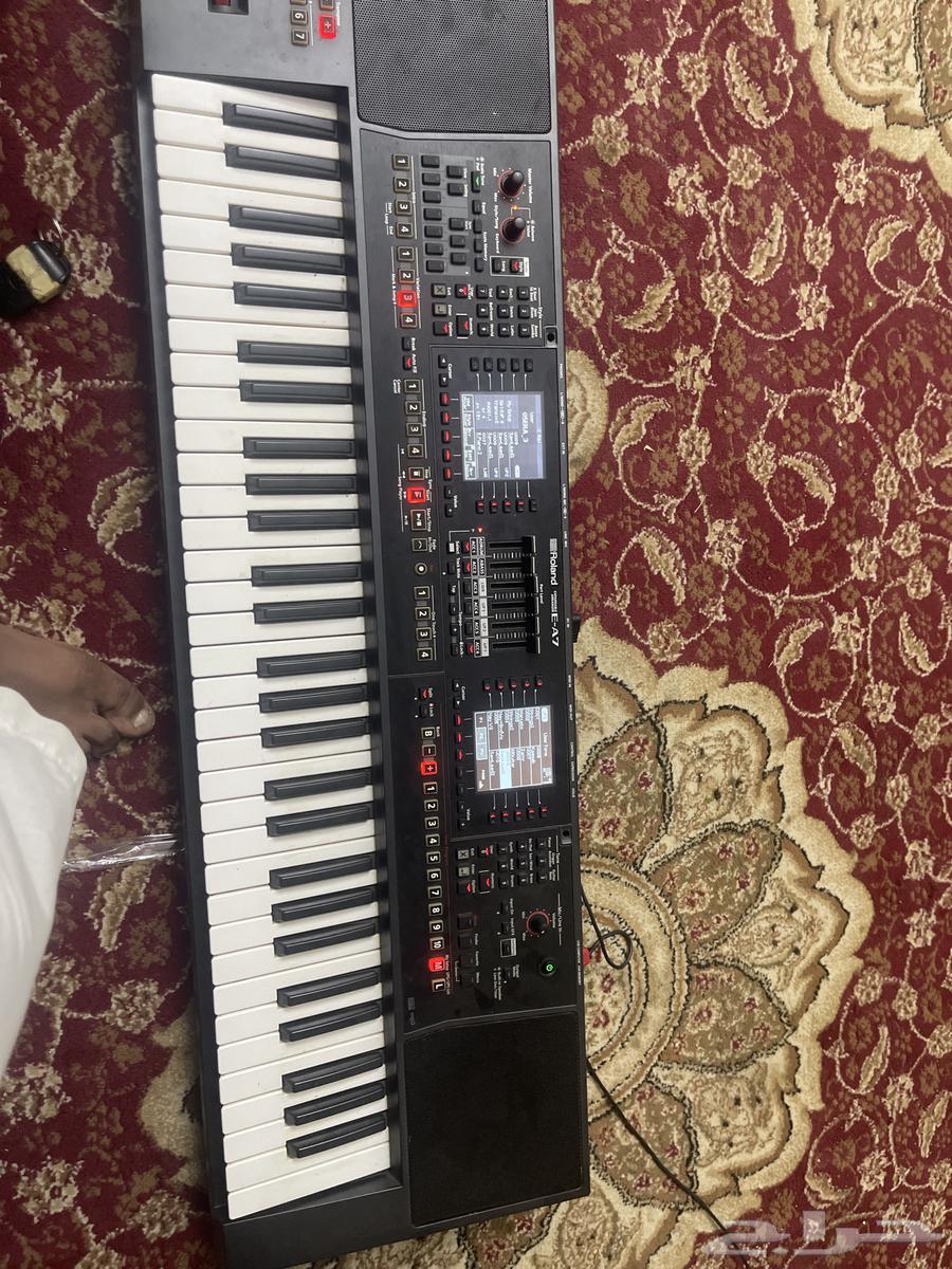 أورق للبيع64552105566721110