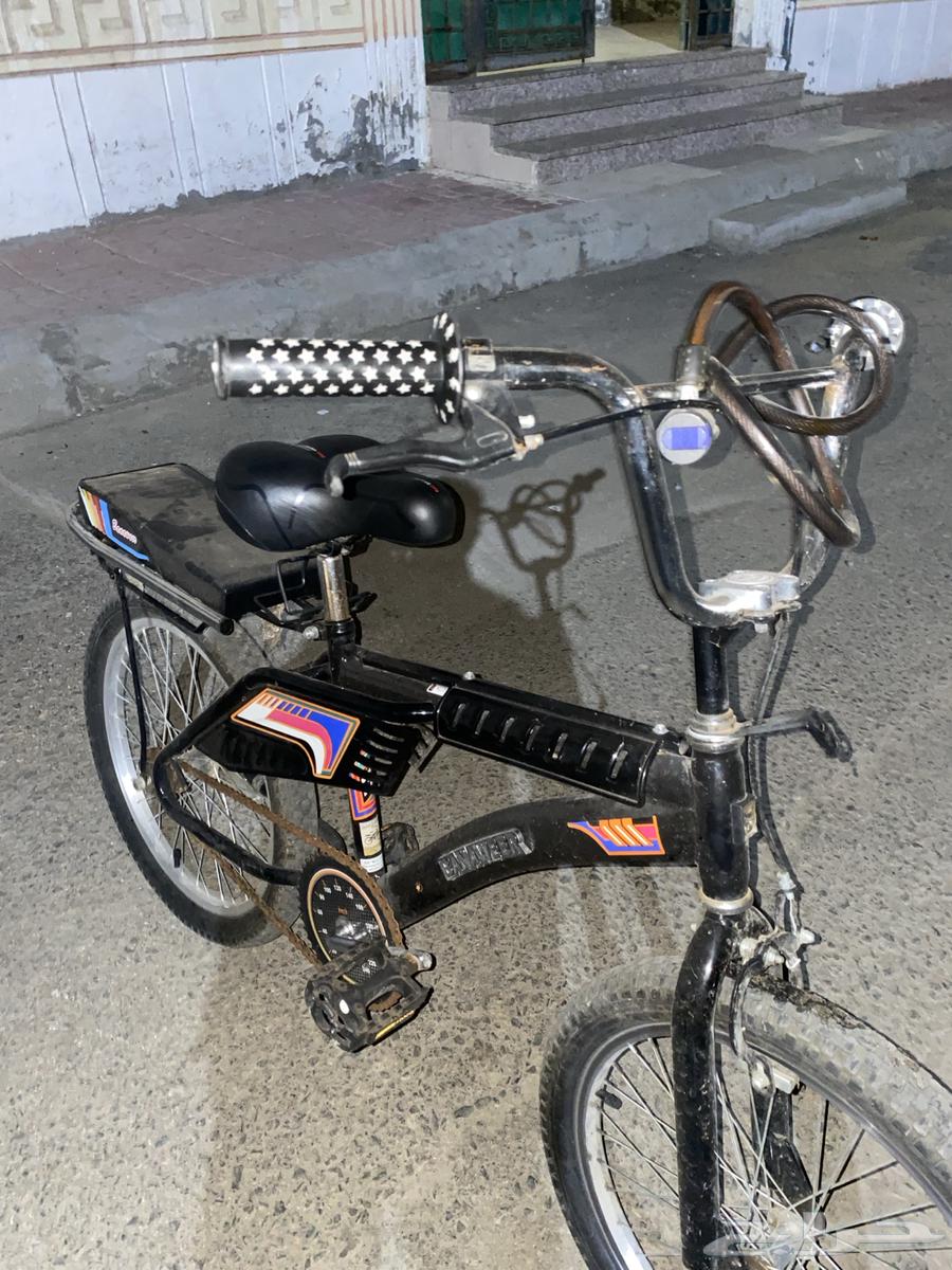 رامبو اسود للبيع64547068851841113