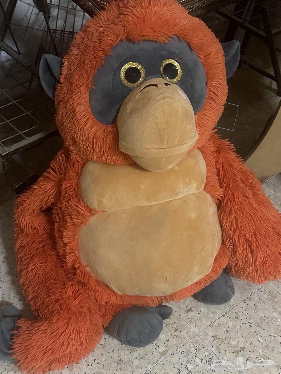 Dumiah64544157205507111