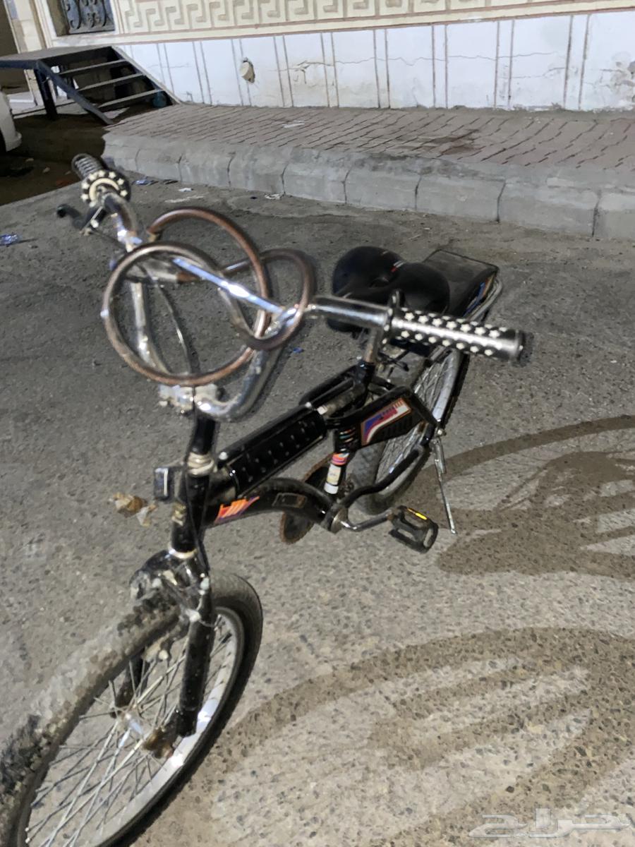 رامبو اسود للبيع64547068851841110