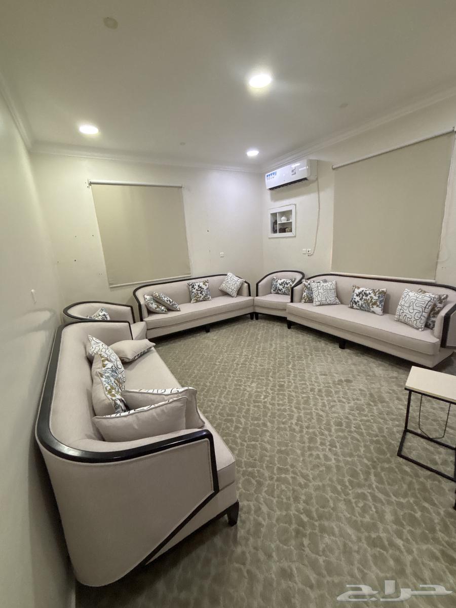 New sofa, less than a week old64548042190339112