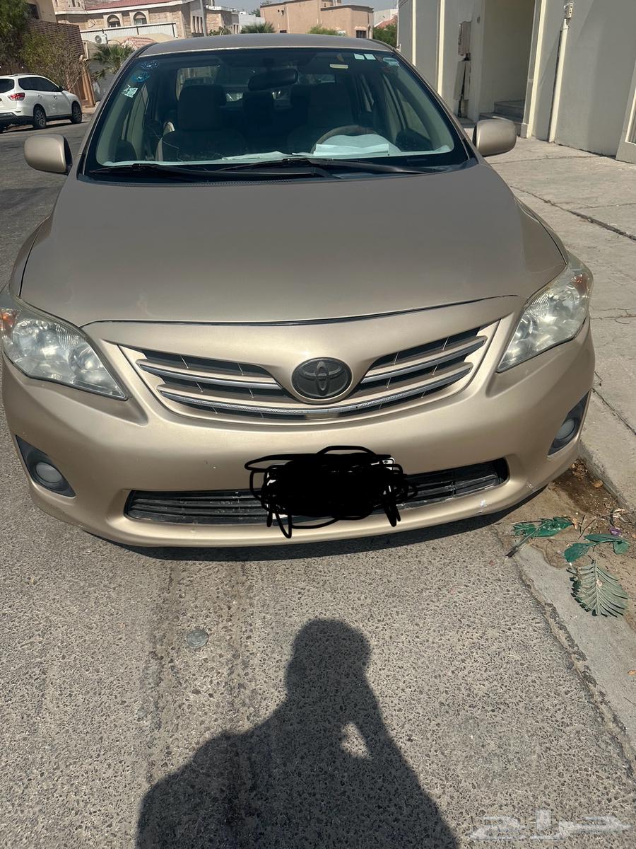 6687 شراحمد بن حنبل64545941968513112