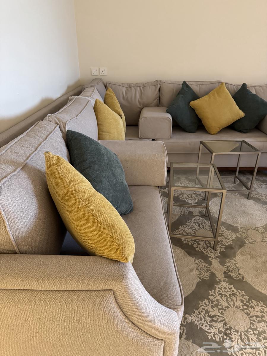 كنب جديد و انيق بسعر مغري64548224558339110