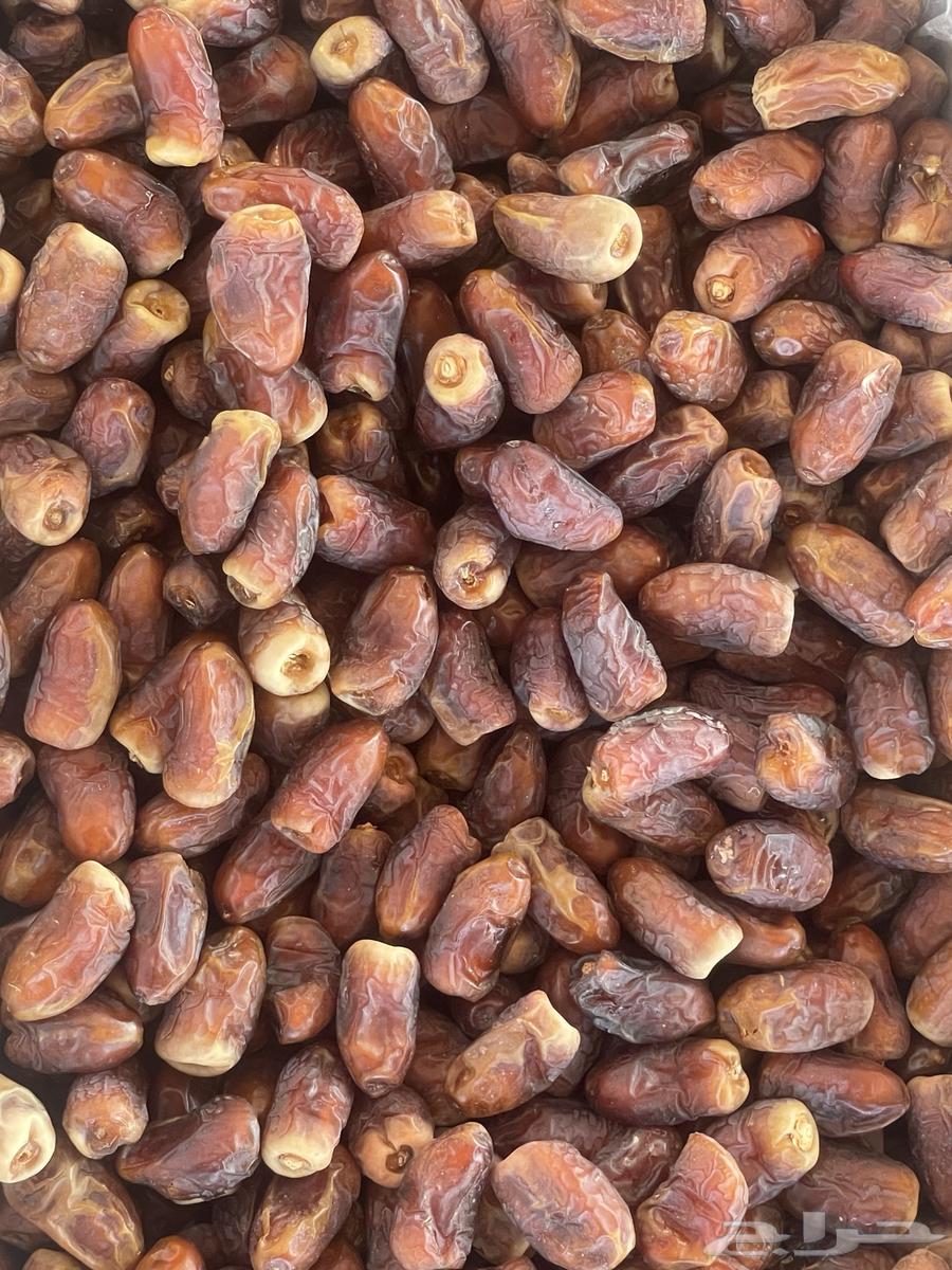 برني العيص (((تم البيع)))64552562049410111