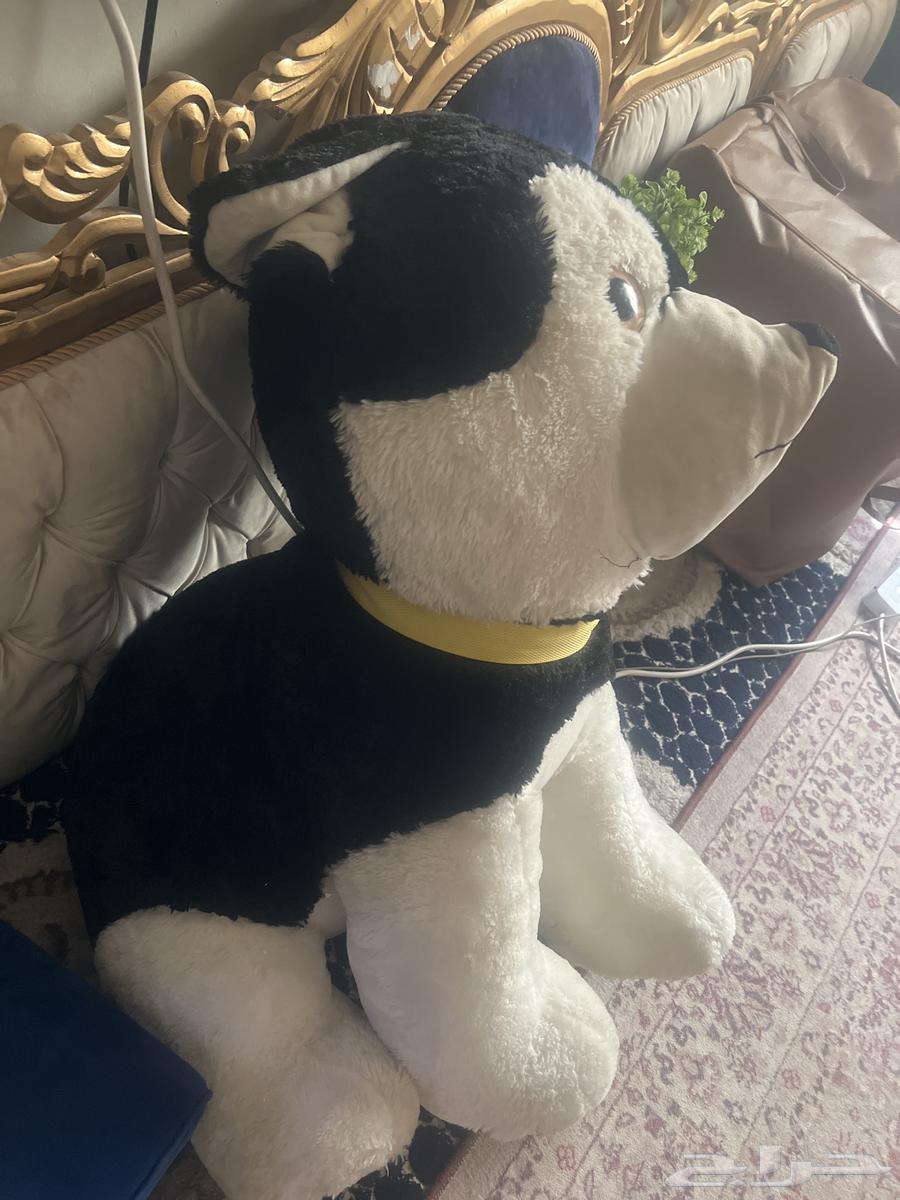 دبدوب كبير64547373956609111