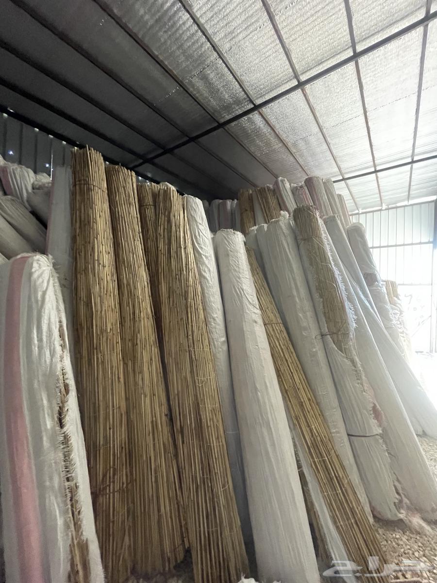 رولات خيزران الاعواد الزراعية والمزيد من الديكورات64547652546819114