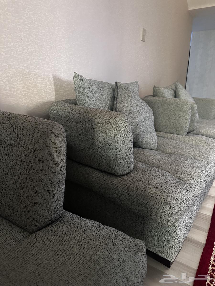 كنب امريكي64547569335937110