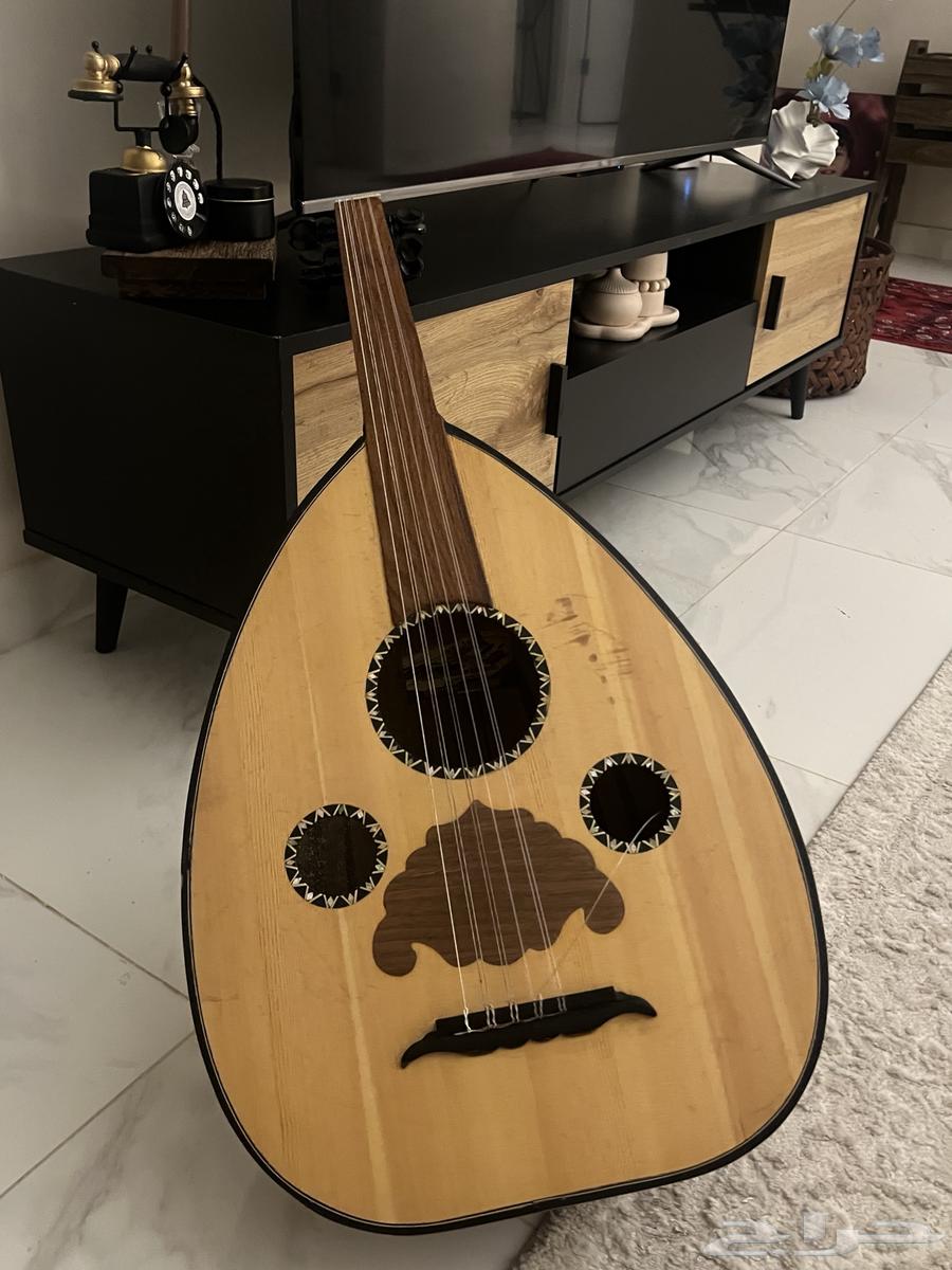عود مصري للبيع64550661681281110