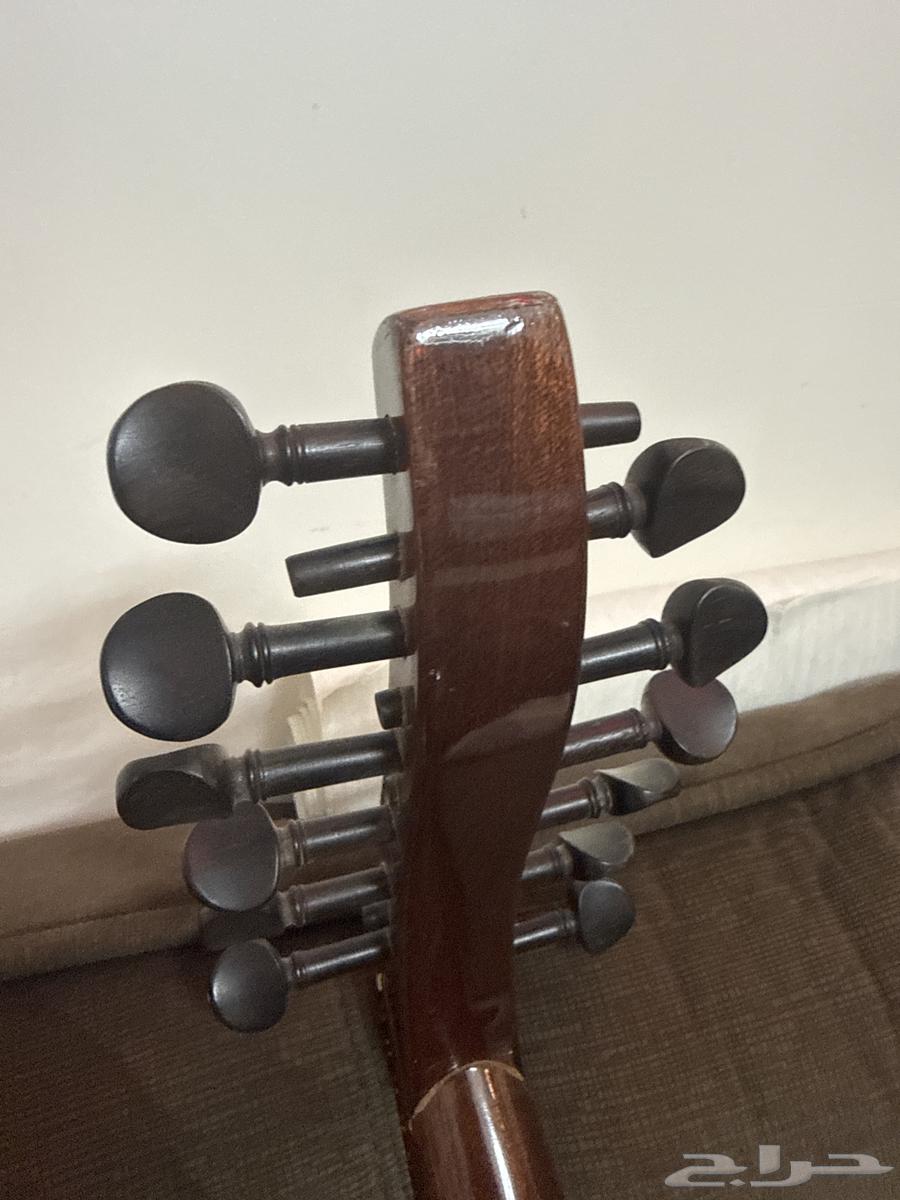 عود زرياب64544622132353112