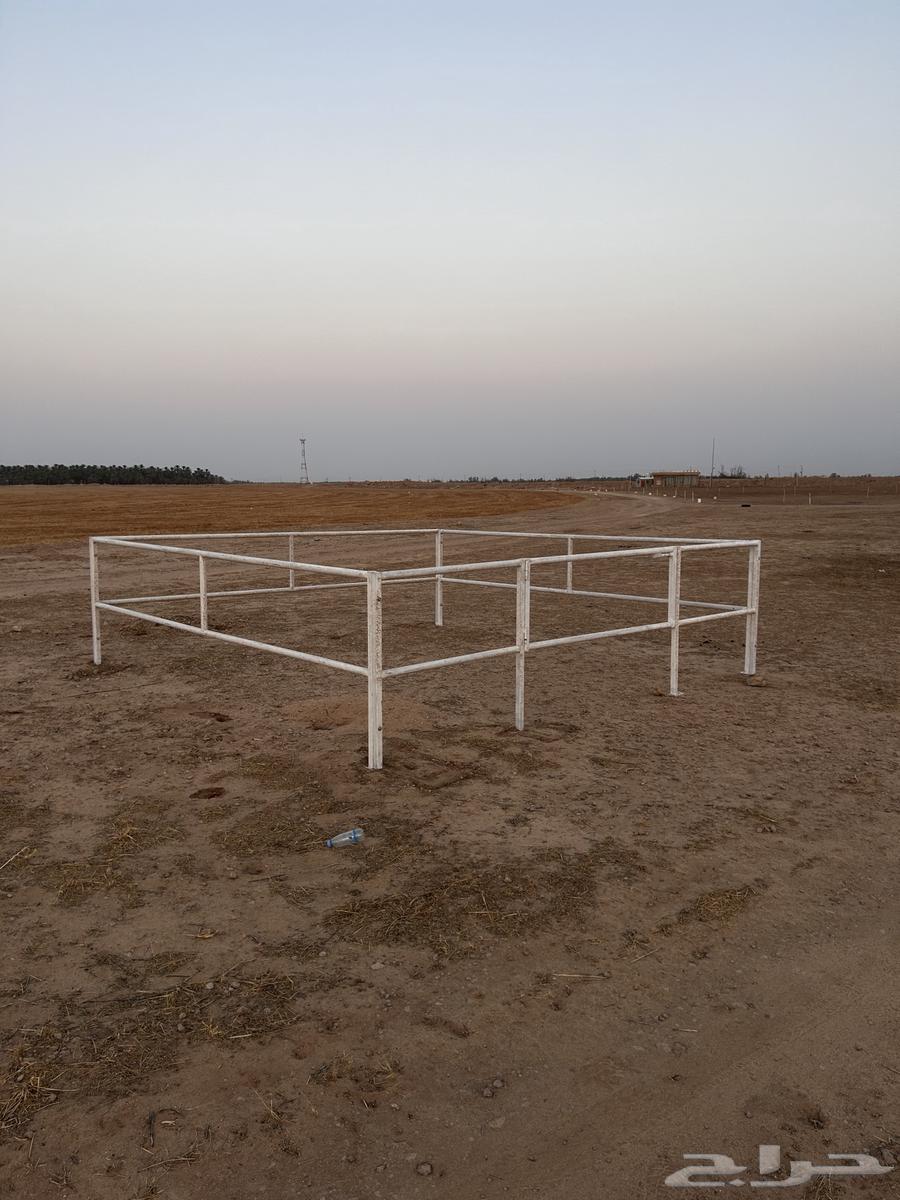 شبك حصان 4 في 4 عرض اليوم الوطني 549 ريال64552220797186110