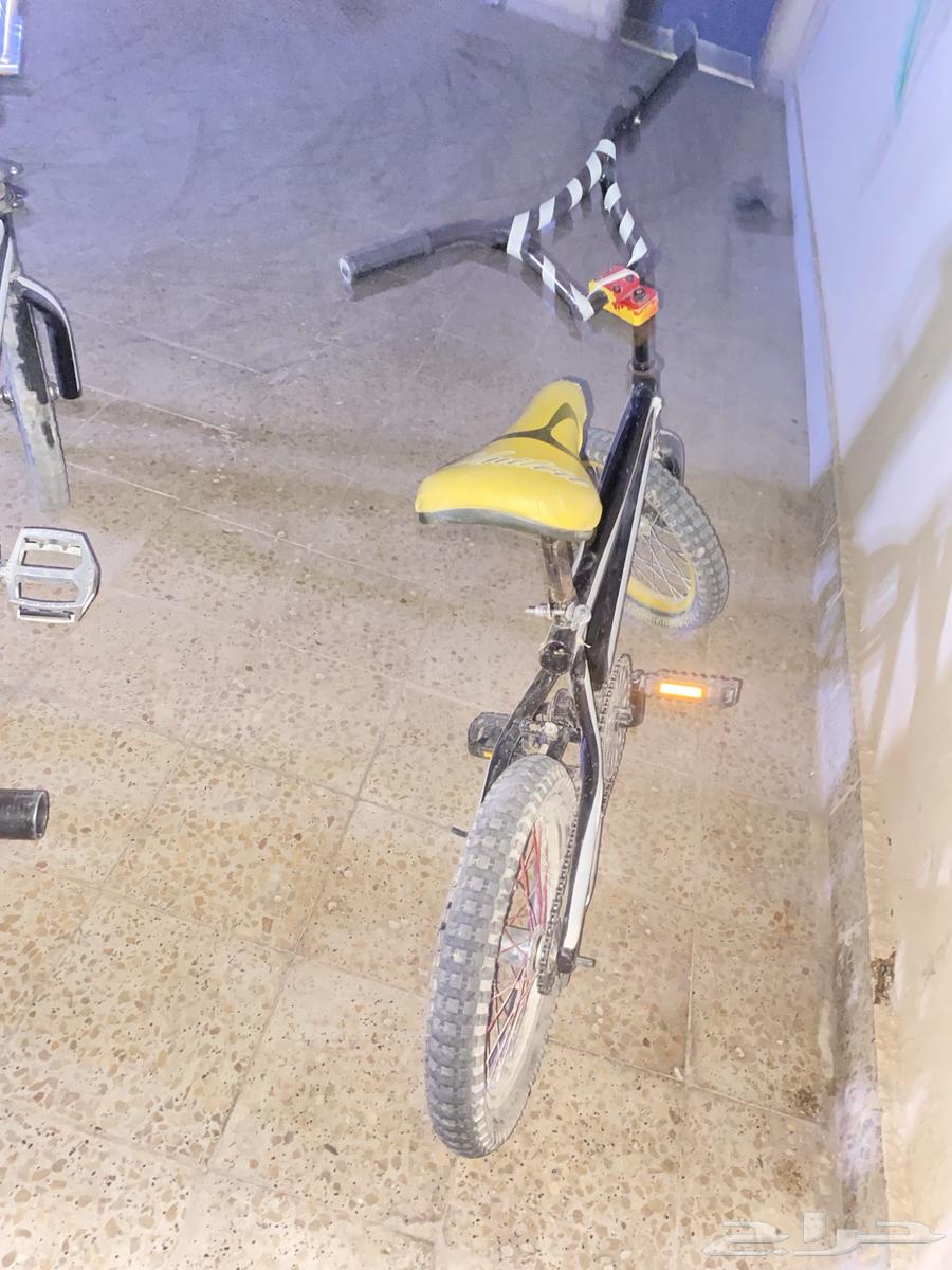 Cycle 16 Two64551862462977111