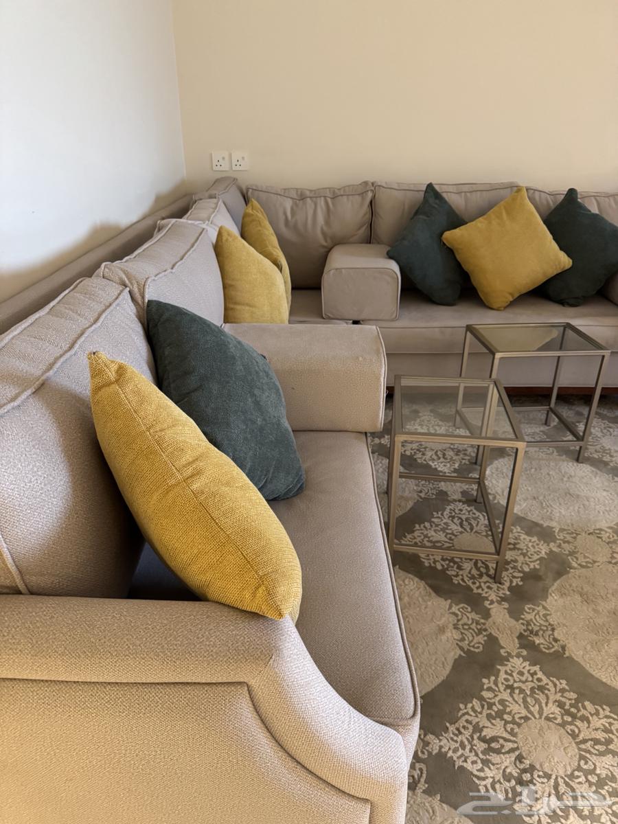 كنب جديد و انيق بسعر مغري64548224558339111