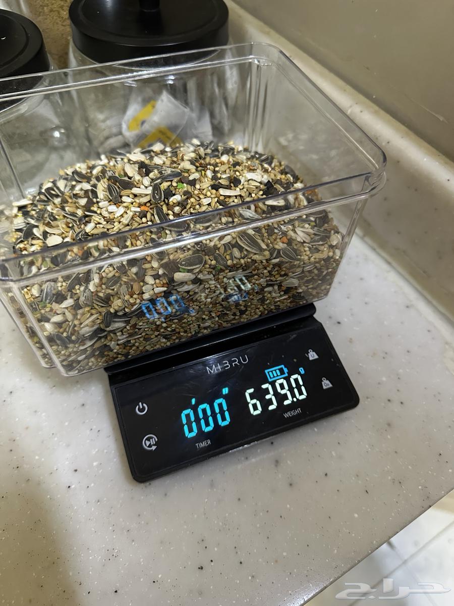 Crown Bird64547291247489113