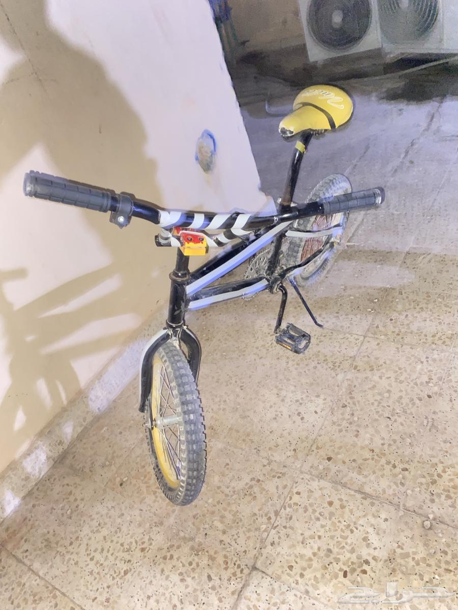 Cycle 16 Two64551862462977112