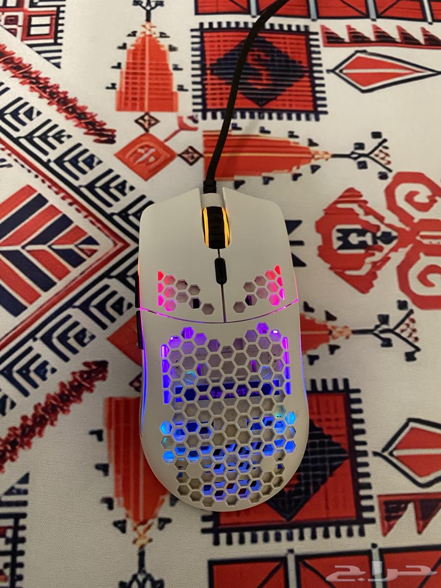 Gloris Mouse64546553895682113