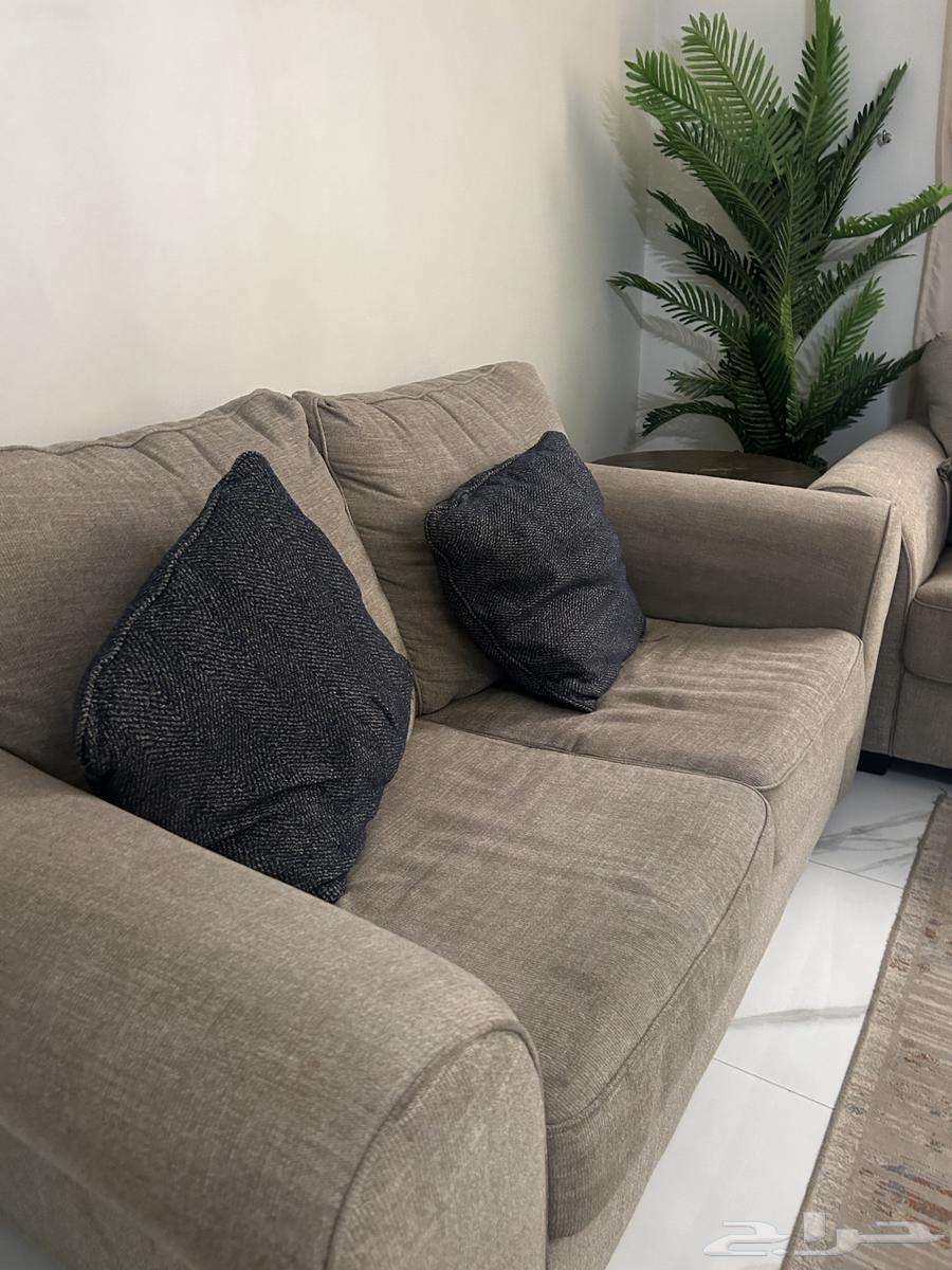 كنب من اشلي..64549093044355111