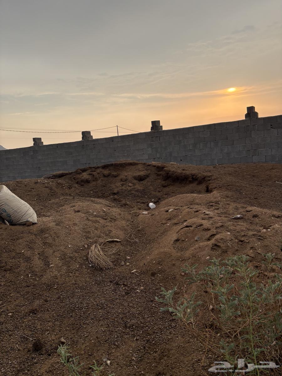 سماد وحديد للبيع64543860401794114