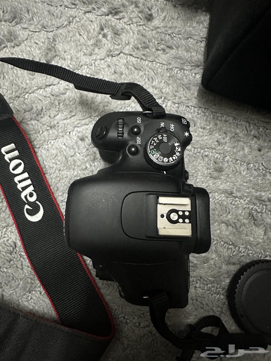 كاميرا كانون للبيع لايجي الا الصامل64552477263363111