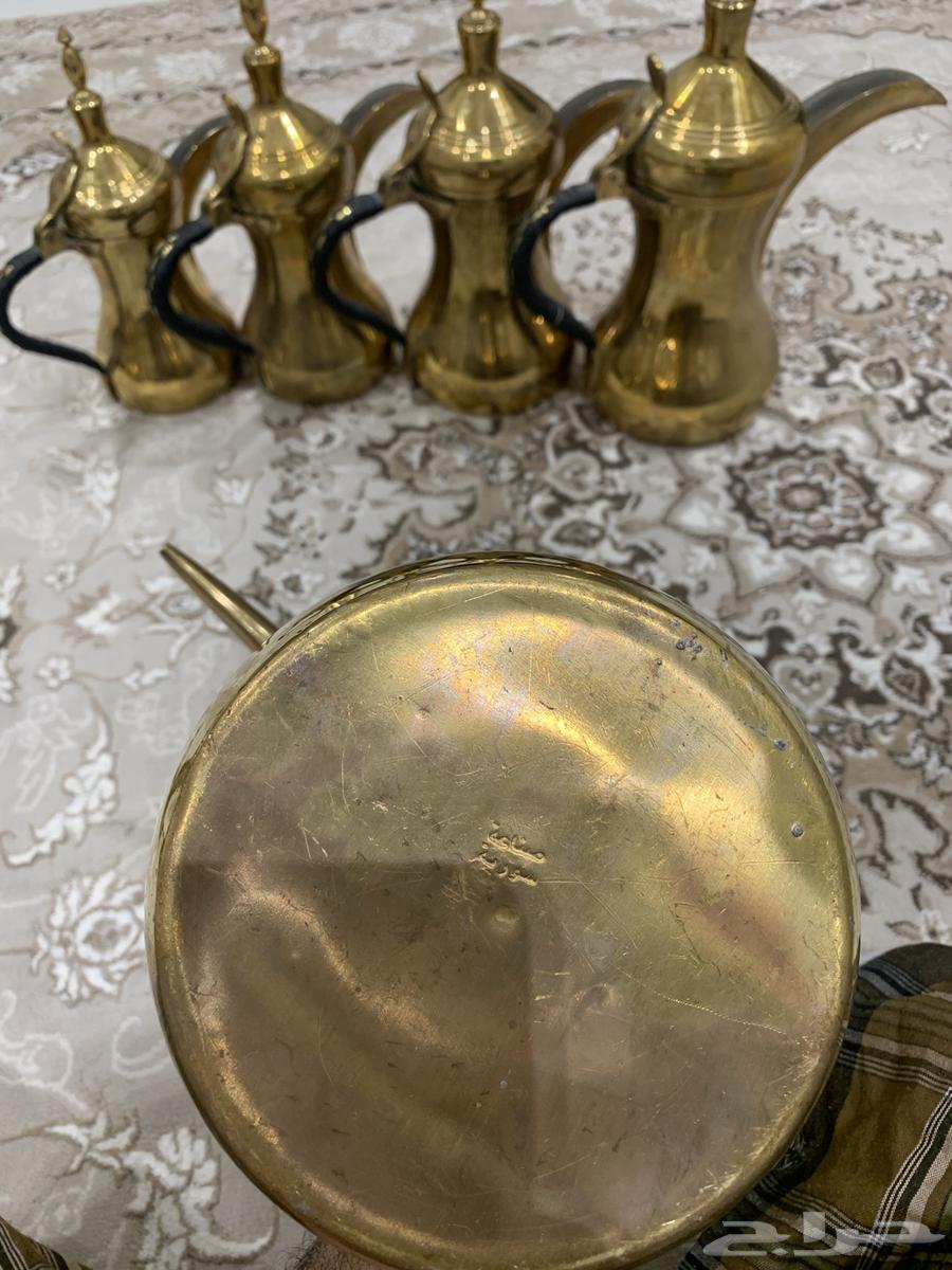 دلال رسلان سورية جديدة64550527521283111