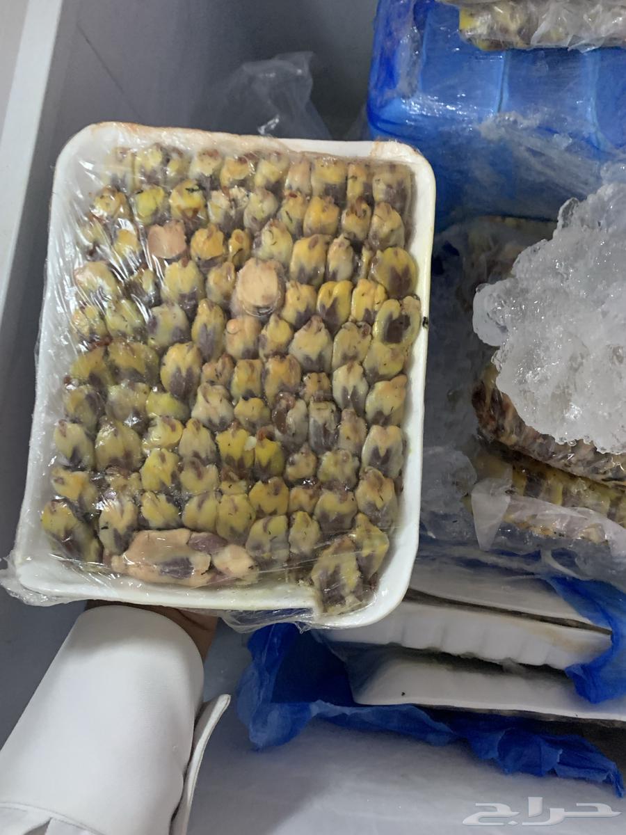 للبيع دخل64544143068674113