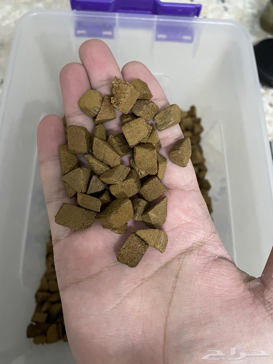 عود الدقة الفيتنامية الفاخرة64550590934914113