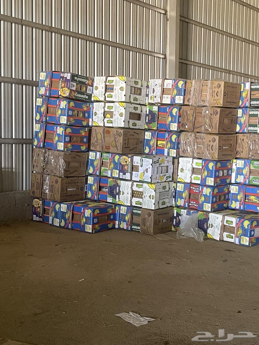 كراتين موز جديدة64545701500929111