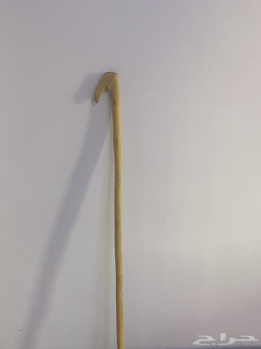 مشعاب نشم للبيع64547805226115111