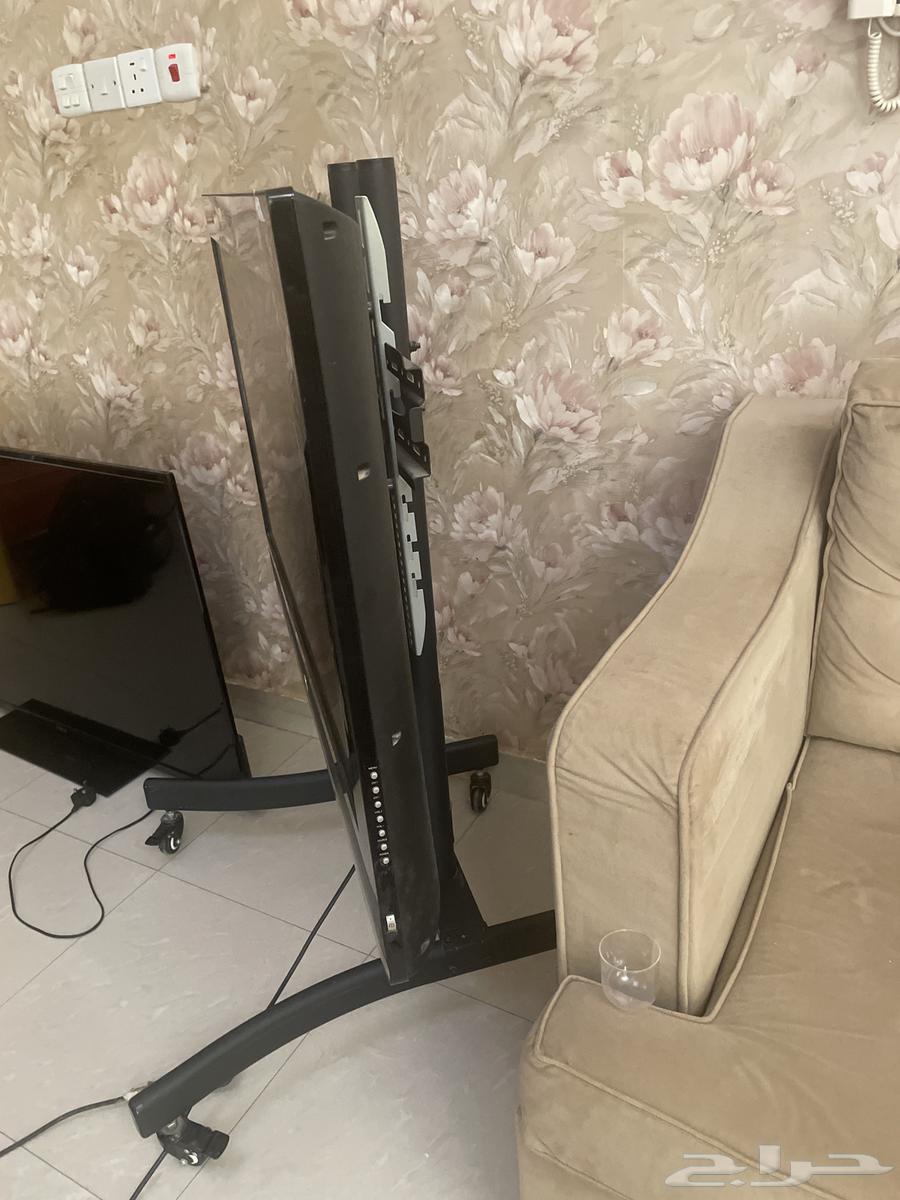 Screen and stand64547569456771113