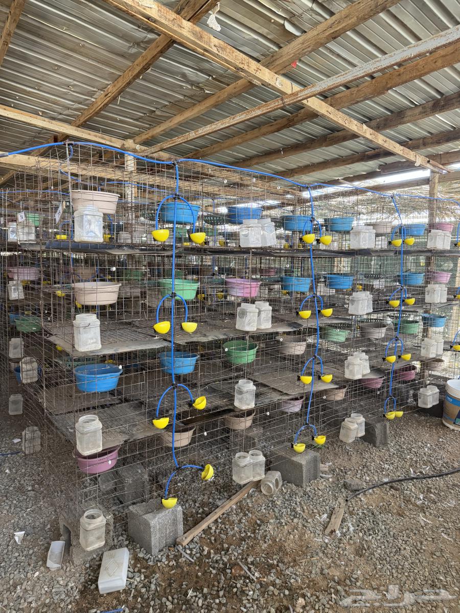 Iron Bathroom Mock-up Wires64547235650819111