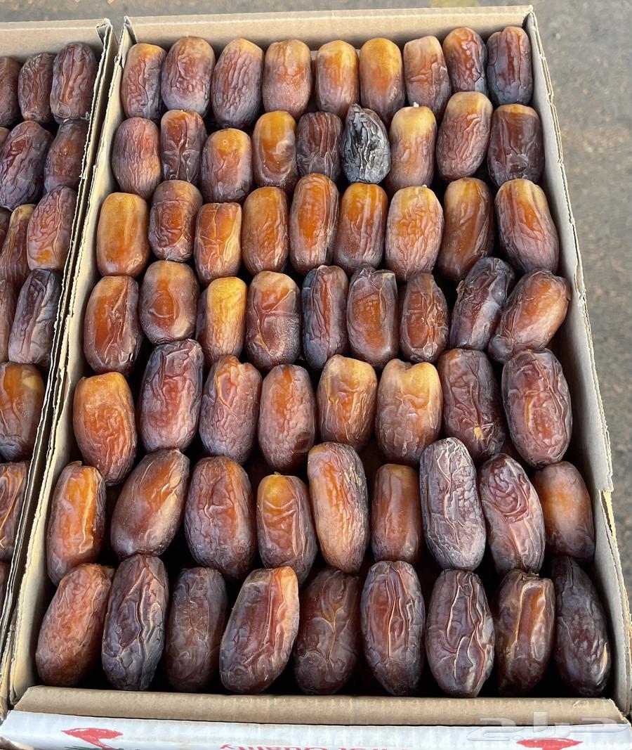 Simple quantity of Al-Majdool dates from Al-Hauta, sold64546985220099111
