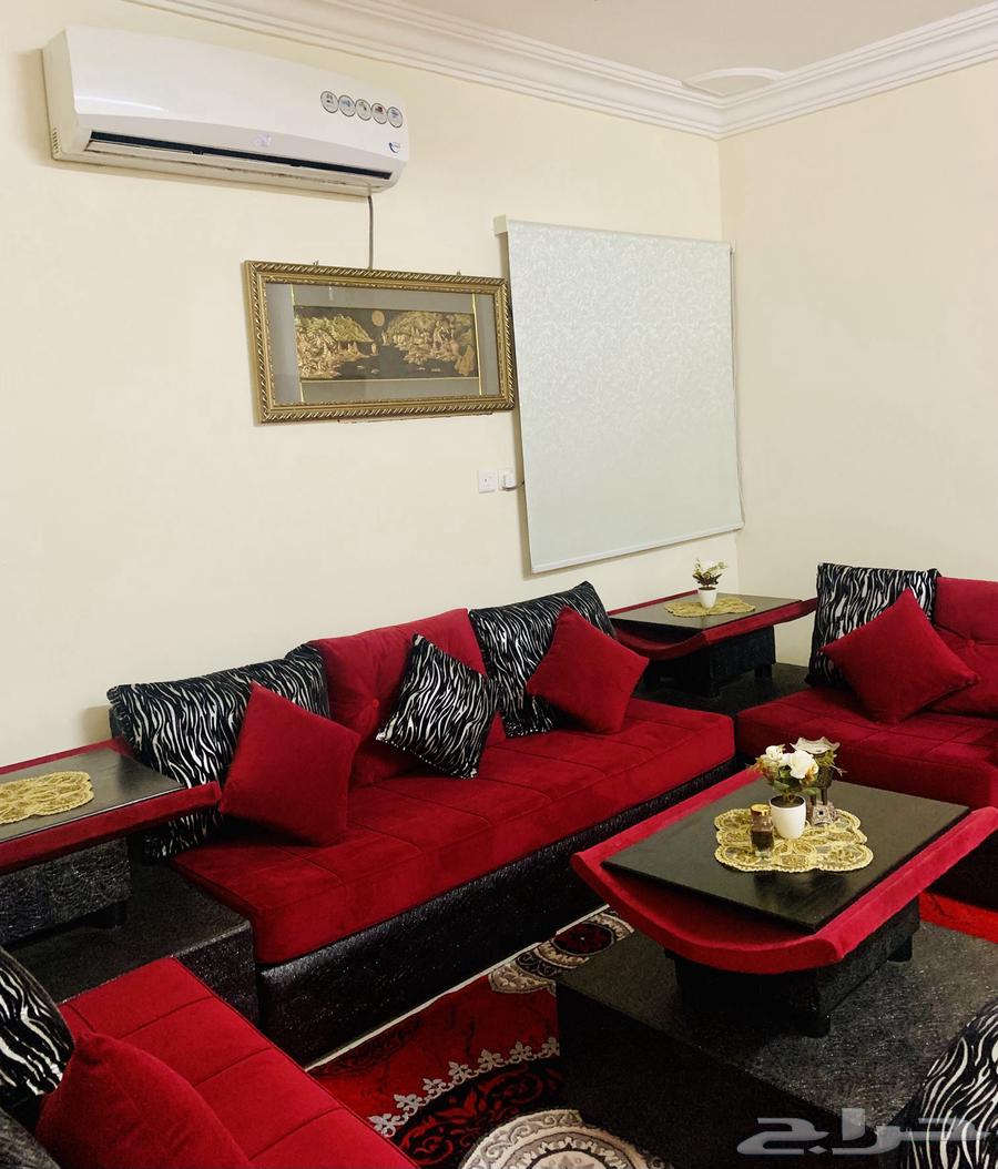 Sofa, Carpet, Curtain64545616264449113